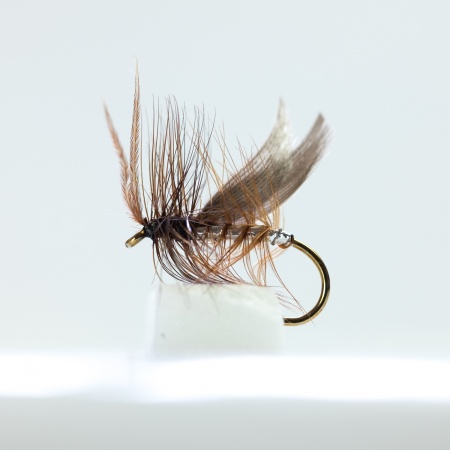 Silver  Winged Brown Sedge Dry Fly